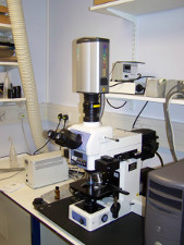 Radiance confocal microscope