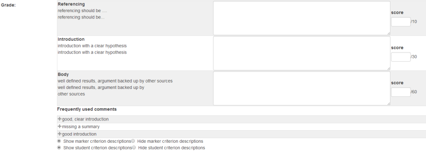 screenshot example Moodle Marking Guide